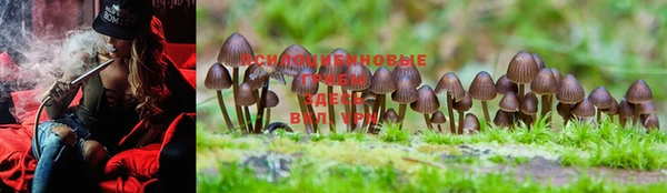 MESCALINE Беломорск