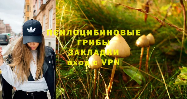 спайс Белоозёрский